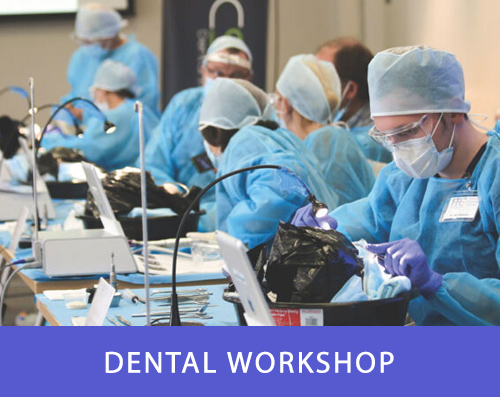 Dental Workshops